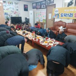 안계면 도덕1리 새해 합동 세배