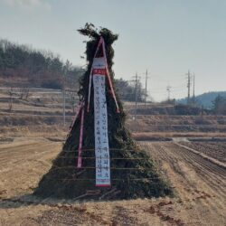 안계면 도덕1리 달집태우기 행사준비