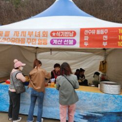 사곡면 화전2리 산수유 축제