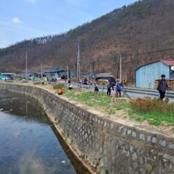 신평면 청운1리 묘목 심기