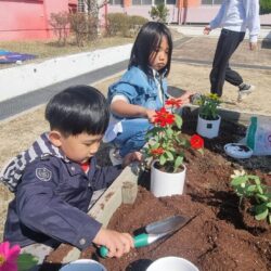 구천마을학교 4차시 - 백일홍꽃 심기