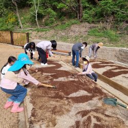 의성가온마을학교 8차시 - 텃밭 가꾸기