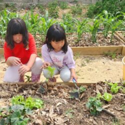 단밀마을학교 23차시 - 아빠!엄마! 우리 별 보러 가요