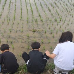 단밀마을학교 24차시 - 슬로우리딩, 논밭산책