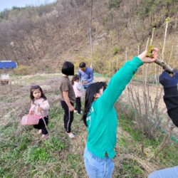 춘산마을학교 6차시 - 봄에는 두릅