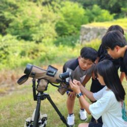 단밀마을학교 22차시 - 새를 만나는 시간