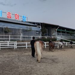 꿈성장 말테마힐링학교 13차