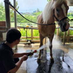 꿈성장 말테마힐링학교 5차